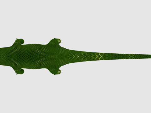 Alligator 3D Model
