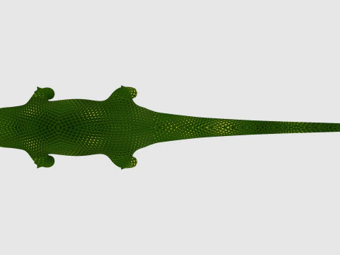 Alligator 3D Model