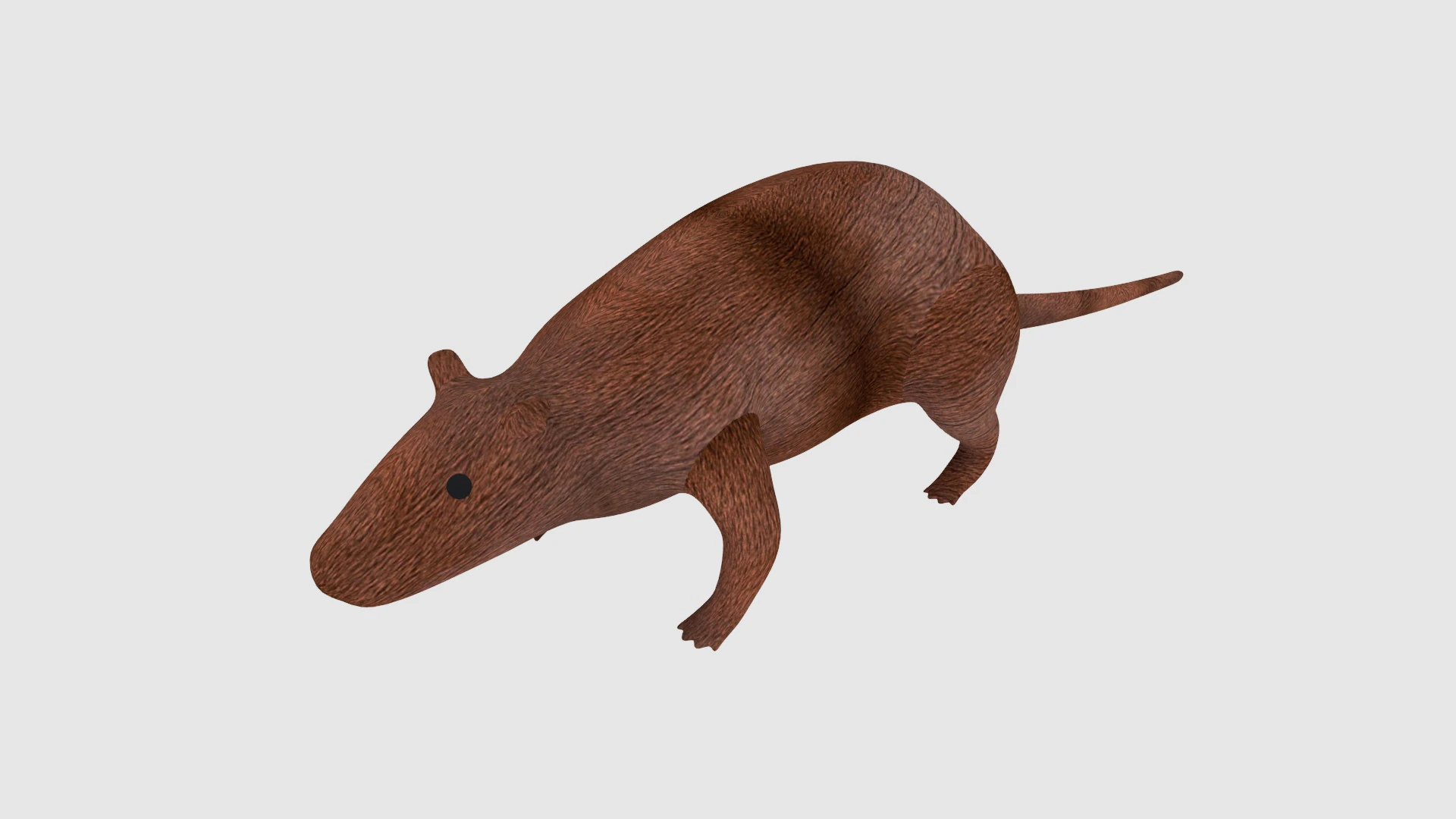 Rat 3D Model .c4d .max .obj .3ds .fbx .stl .blend 
