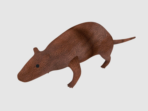 Rat 3Dモデル