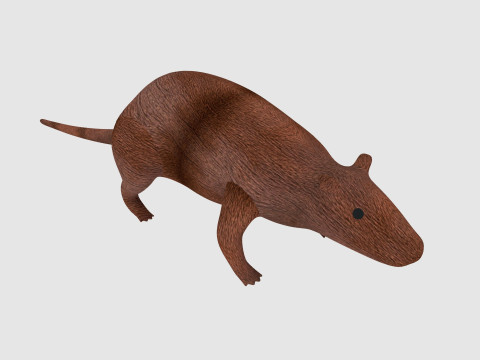 Rat 3D 模型