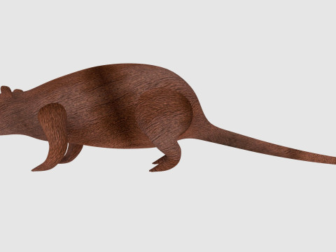 Rat 3D 模型