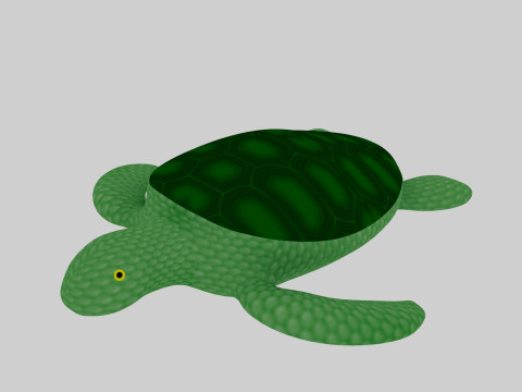 Turtle 3D Model