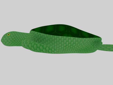 Turtle 3D मॉडल