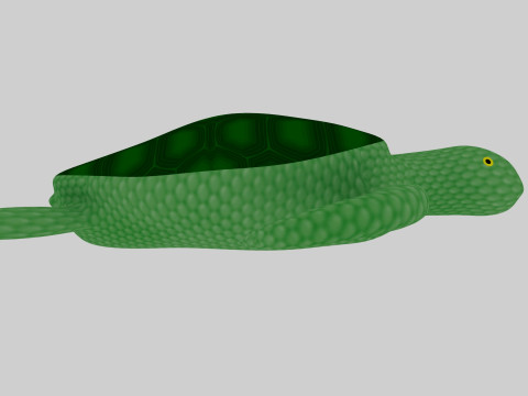 Turtle 3D मॉडल