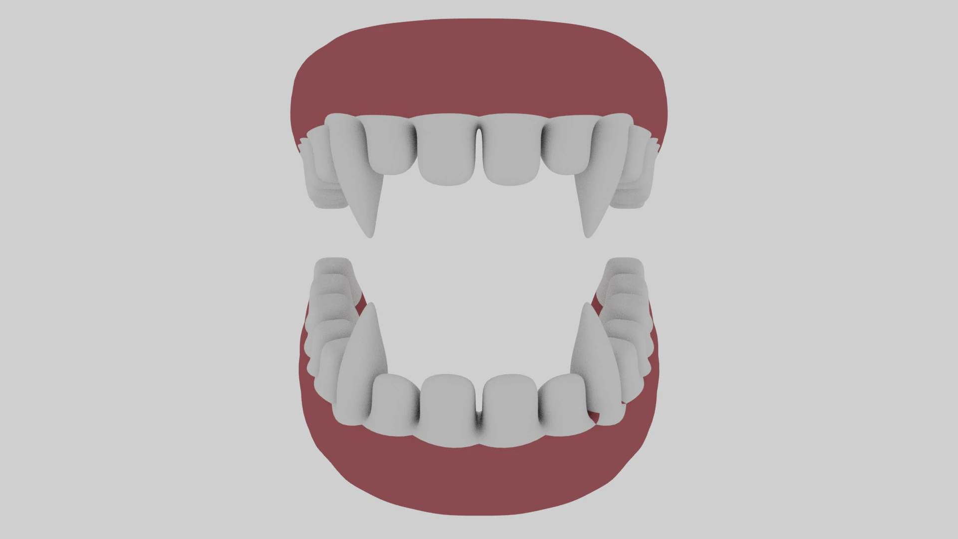 Animal Teeth 3D Model .c4d .max .obj .3ds .fbx .stl .blend 