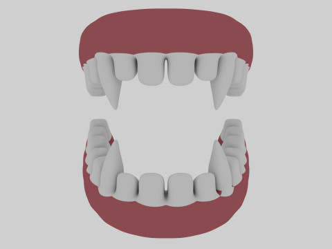 Animal Teeth 3D Model