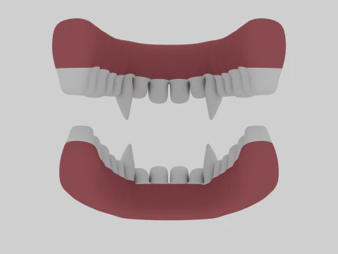 Animal Teeth 3D Model