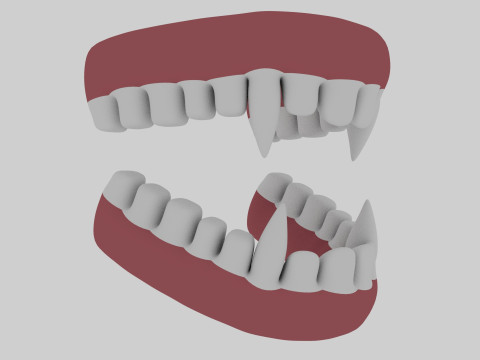Animal Teeth 3D Model