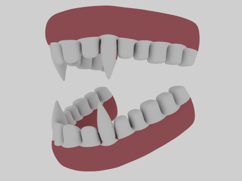 Animal Teeth 3D Model