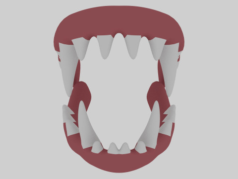 Dinosaur Teeth 3D Model