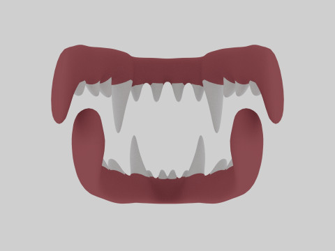 Dinosaur Teeth Model 3D