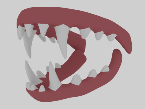 Dinosaur Teeth Model 3D