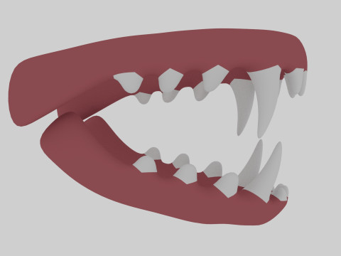 Dinosaur Teeth Model 3D