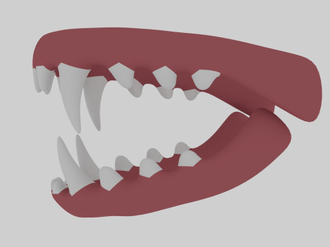 Dinosaur Teeth Model 3D