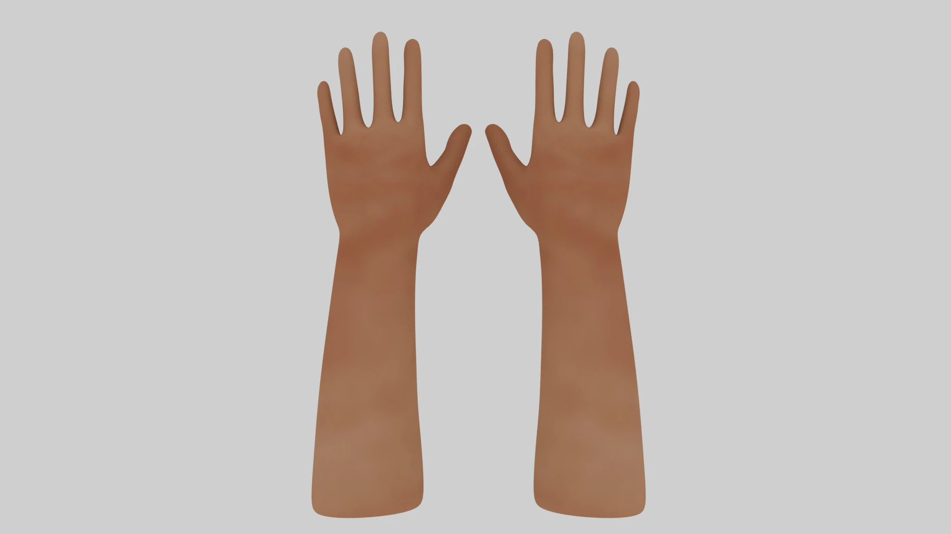 Human Hands 3D Model .c4d .max .obj .3ds .fbx .stl .blend