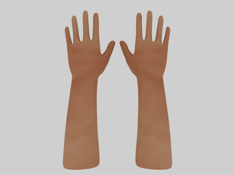 Human Hands 3D Model