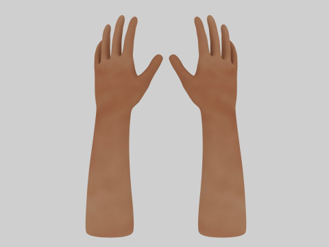 Human Hands 3D Model