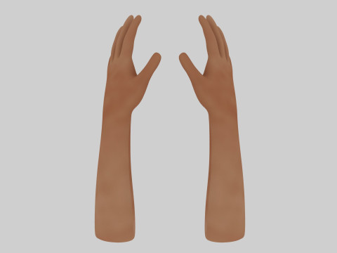 Human Hands 3D Model
