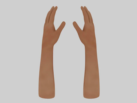 Human Hands 3D Model