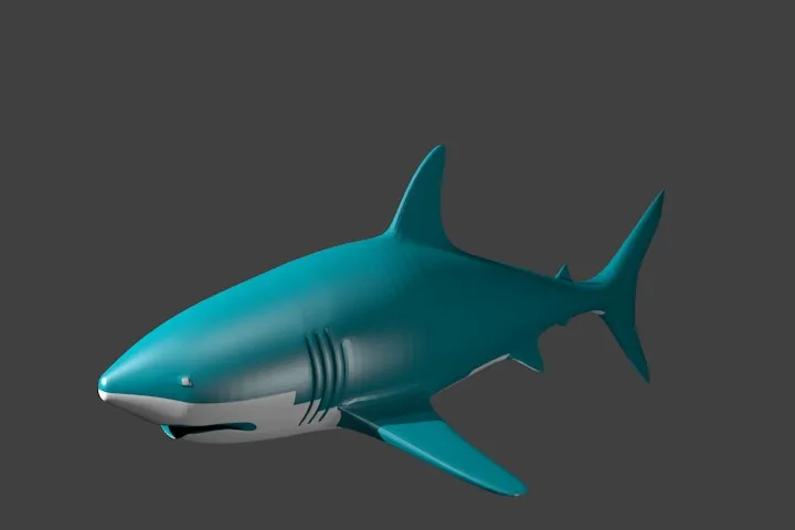 Shark tiburn 3D Modell .c4d .max .obj .3ds .fbx .stl .blend 