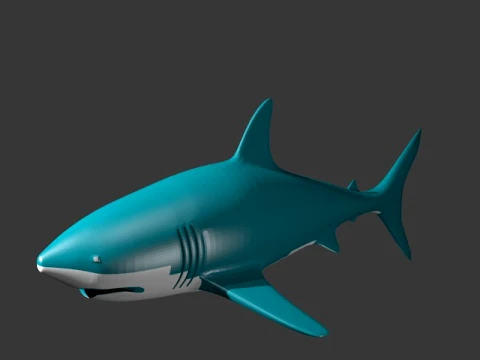 Shark tiburn 3D Modell