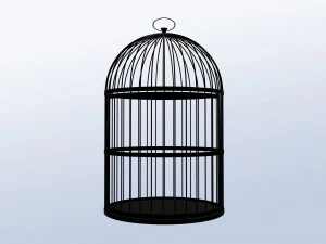 Cell 3D Model