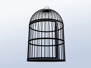 Cell 3D Model