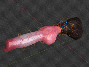 Cane Pene Modello 3D