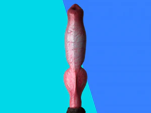 Cane Pene Modello 3D