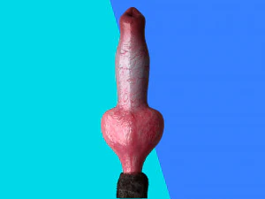 Cane Pene Modello 3D