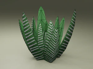 Stylized hand-painted succulent plants 3D Model