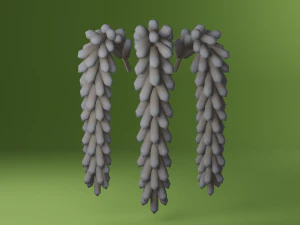 Stylized hand-painted succulent plants 3D Model