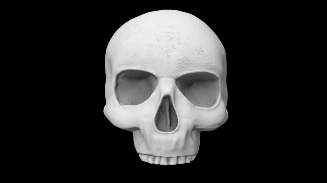 Human skull 3Dモデル .c4d .max .obj .3ds .fbx .stl .blend 