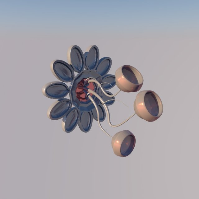 Floral bra 3D 模型 .c4d .max .obj .3ds .fbx .stl .blend 