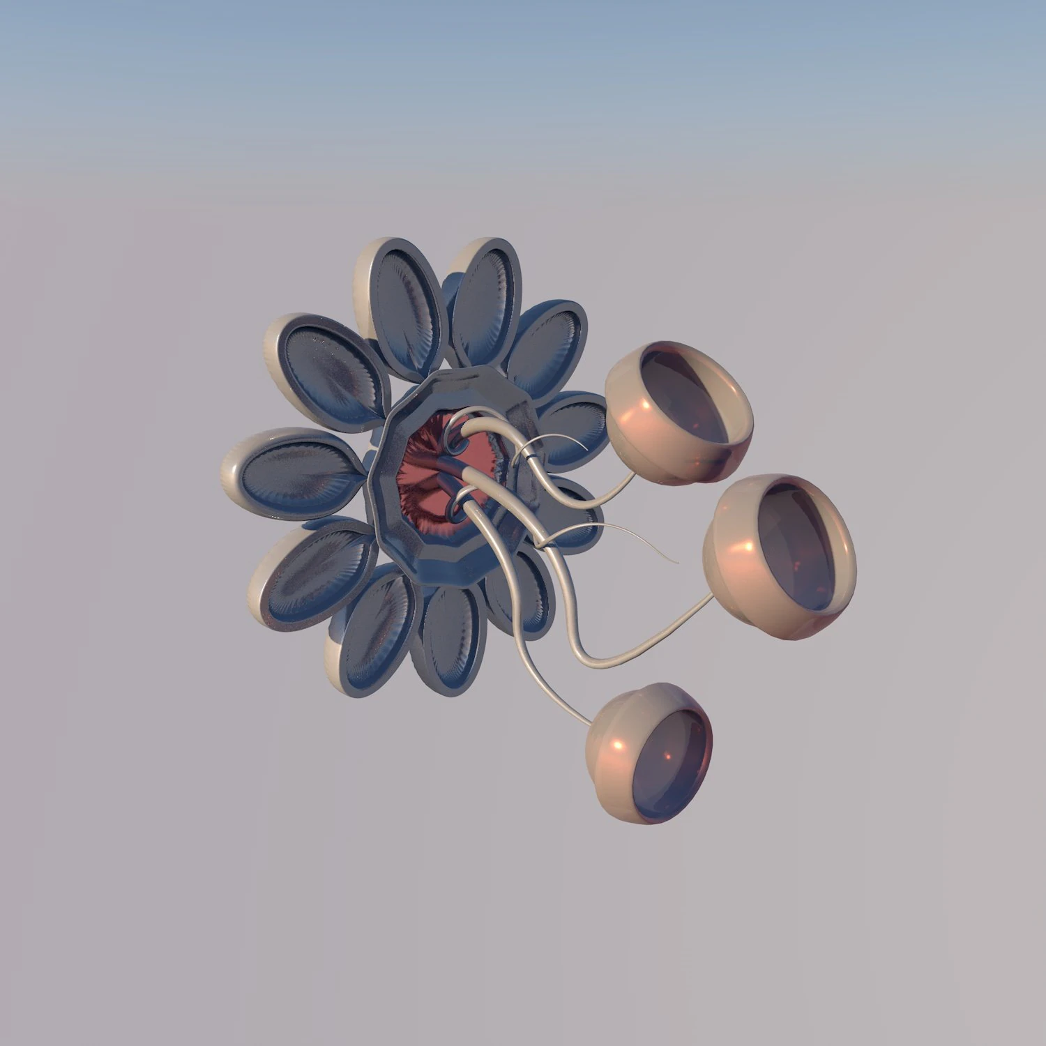 Floral bra 3D Model .c4d .max .obj .3ds .fbx .stl .blend 