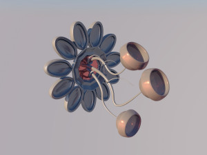Floral bra Modelo 3D