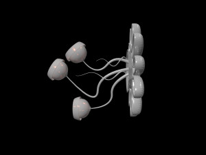 Floral bra 3D 模型