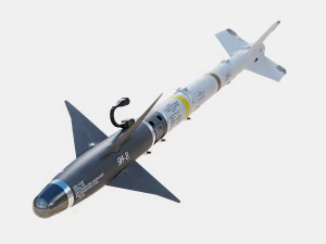 Aim-9M Sidewinder f&uuml;zesi 3D Model
