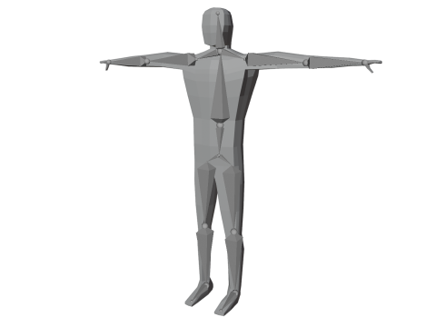 Human low poly rigged Model 3D