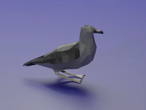 Ardenna grisea 3D Model