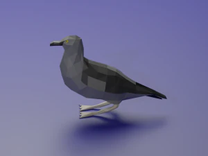 Ardenna grisea 3D Model