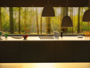Modern kitchen interior  3D Model