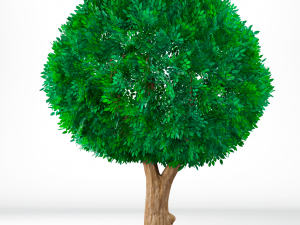 Stylized trees Modelo 3D