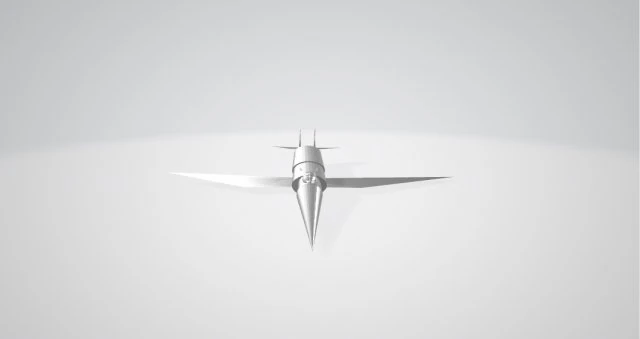 Combatiente Modelo de impresión 3D .c4d .max .obj .3ds .fbx .stl .blend 