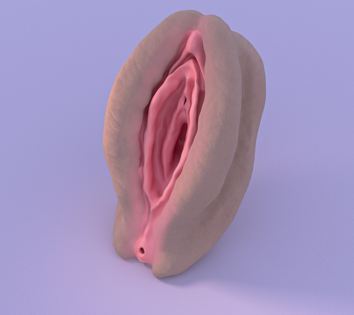Vagina 3d model