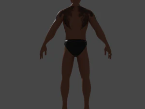 Fighter 3D Model