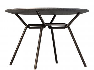 STRAIN Table 3D Model