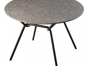 STRAIN Table 3D Model