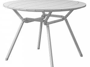 STRAIN Table 3D Model
